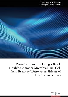 Power Production Using a Batch Double‐Chamber Microbial Fuel Cell from Brewery Wastewater: Effects of Electron Acceptors