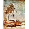 Wee Blue Coo Schilderij TEKENING VINTAGE AUTO TROPICAL PALM STRAND ART PRINT POSTER MP3880B