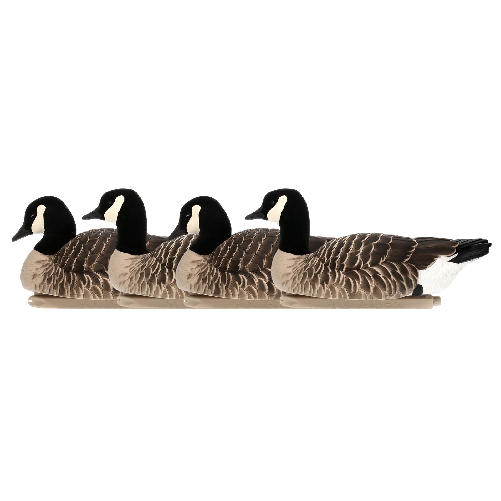 Avian-X Topflight Lessers Floating Goose Hunting Decoys with True to Life Postures for Hunting Purposes, Outdoor Sports, and Recreation