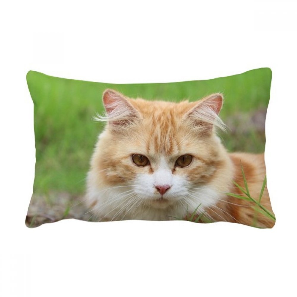 Coussin de canapé chat aux rayures jaunes multicolores de style unique 16x24