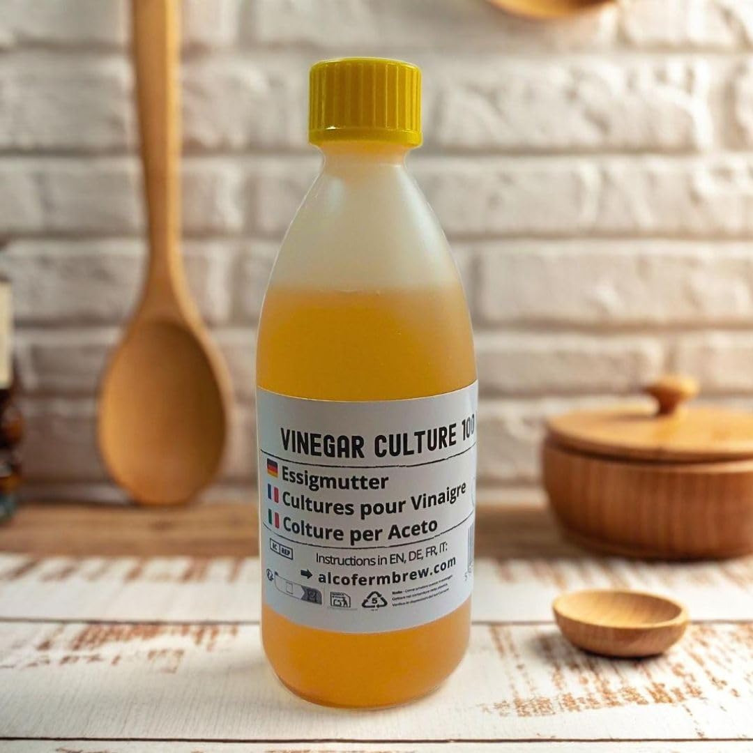 Mère de vinaigre 100 ml, Bactéries acétiques pour fermentation, Culture de fermentation maison, Acetobacter