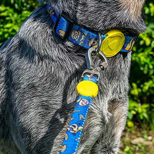 Coleira Para Cachorro dog27 Minions Bello:P