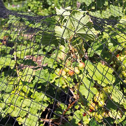 Garden Netting Kit (2x20m) BLACK  Heavy-Duty Woven Mesh Plant Net with 100 Cable Ties  Cat & Bird Fencing Pea Net for Seed, Fruit, Tree Protection  Reusable Anti-Insect Plant Cover