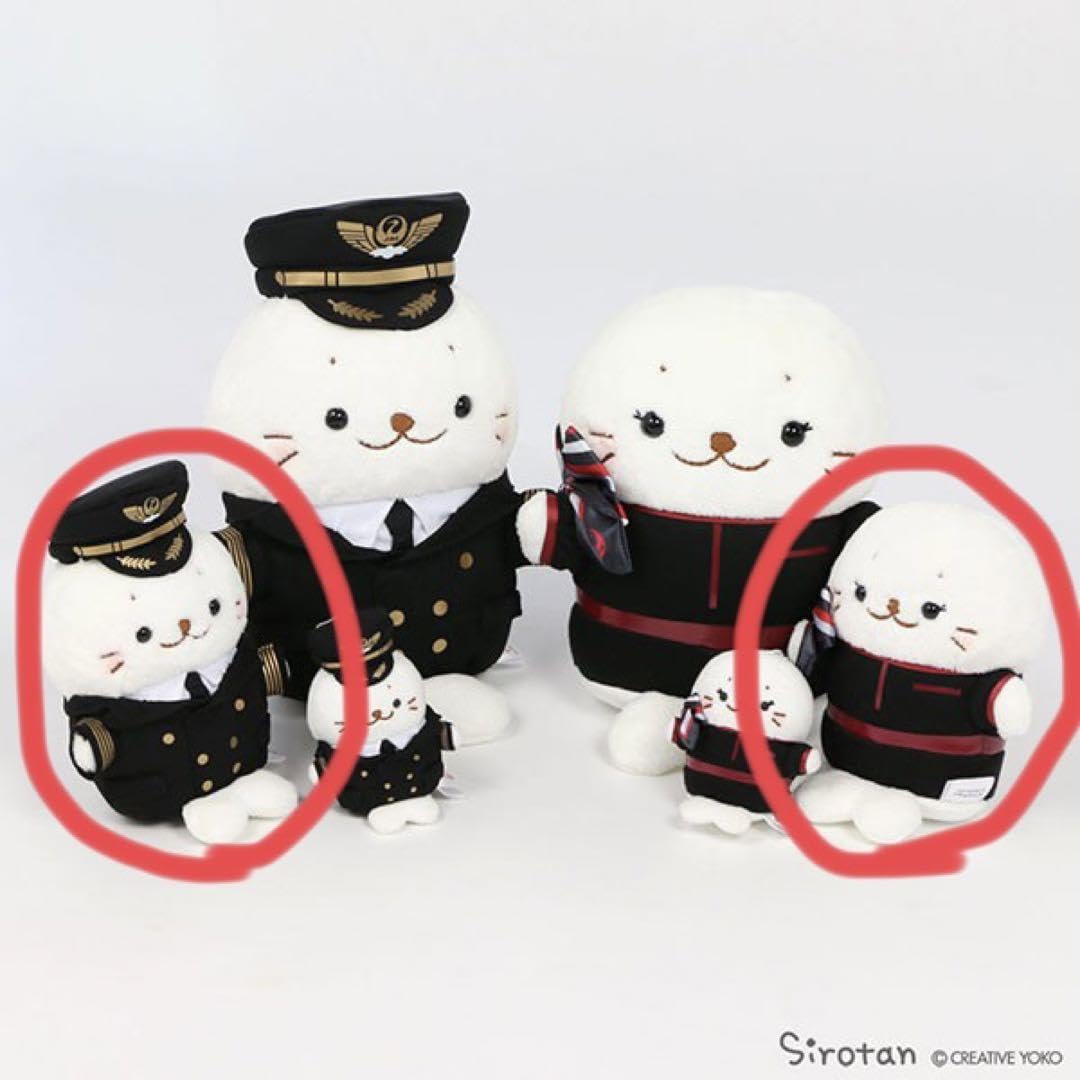 JAL x Sirotan しろたん CA ぬいぐるみ　大 Amazon.co.jp: 週末JAL x Sirotanしろたん CA ぬいぐるみ(大