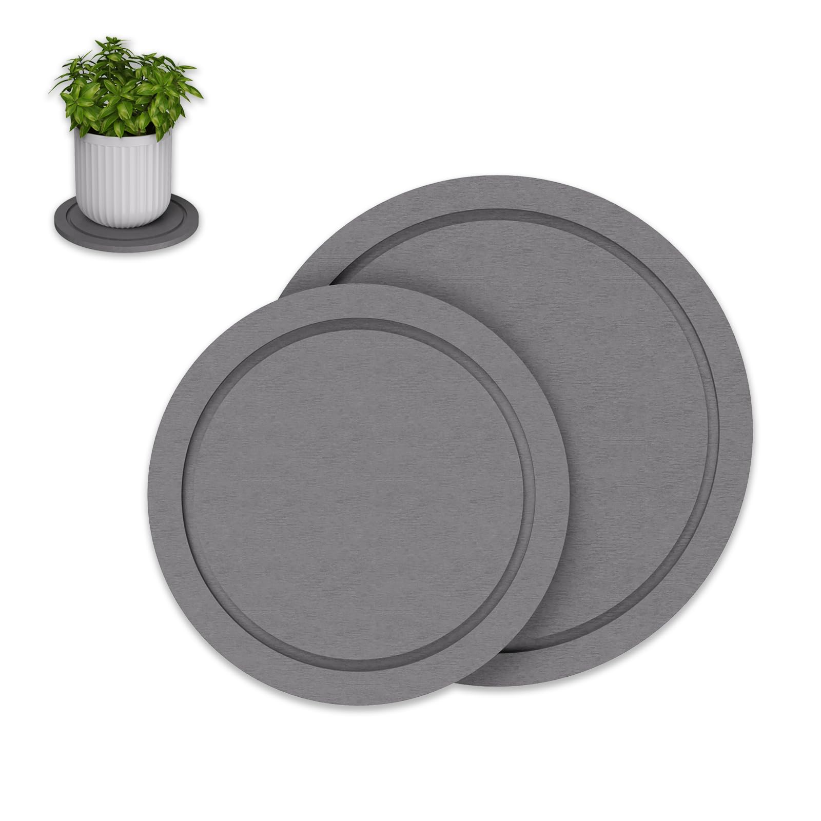Soucoupe de plante de diatomée contre l'eau stagnante des pots