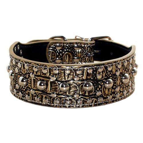 haoyueer Collar unisex de piel con tachuelas para perros medianos y grandes, para Pitbull Doberman, talla M, L