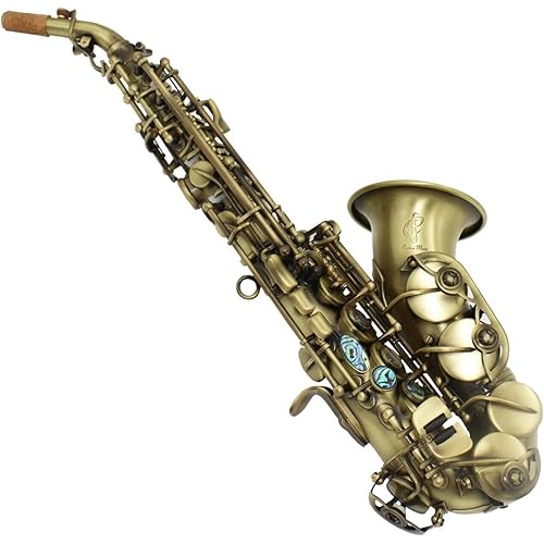 Eastern music antique bronze Italian pads installed curved Soprano Saxophone sax