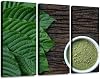 HABEN ARTWORK mitragynina speciosa or kratom Leaves with Powder Product in White Print On Canvas Wall Artwork Modern Photography Home Decor Unique Pattern Stretched and Framed 3 Piece