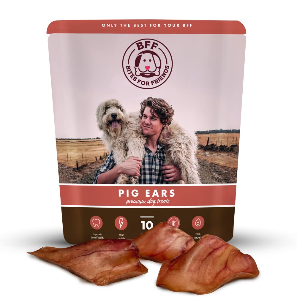 Do Pig Ears Make Dogs Aggressive