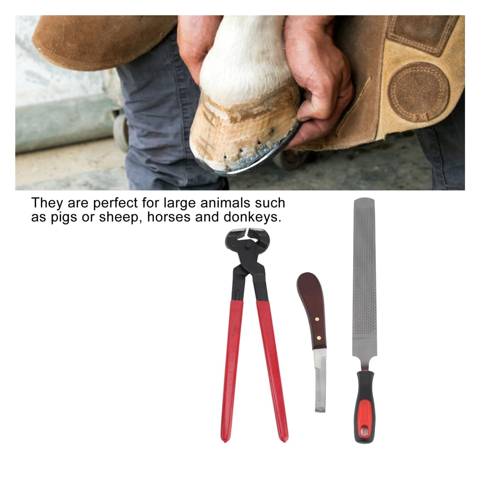 Kit De Herramientas Reparación Pezuñas, Lima Acero Doble Cara, Recortadora , For Caballos, Ganado, Ovejas, Burros