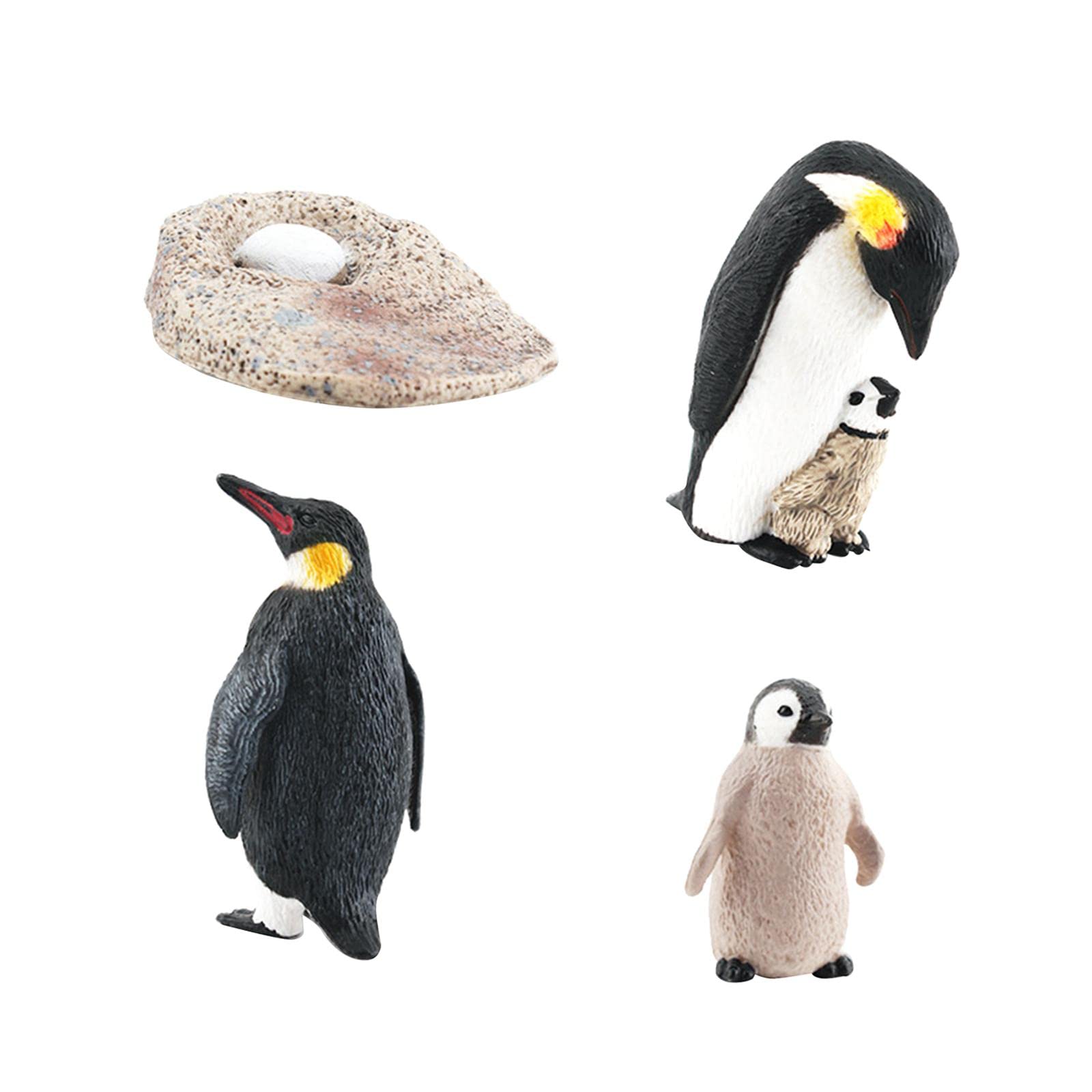 10 Set Pinguin Lebenszyklus Modell Tiere kognitives Spielset für Lehrmaterialien Stil A