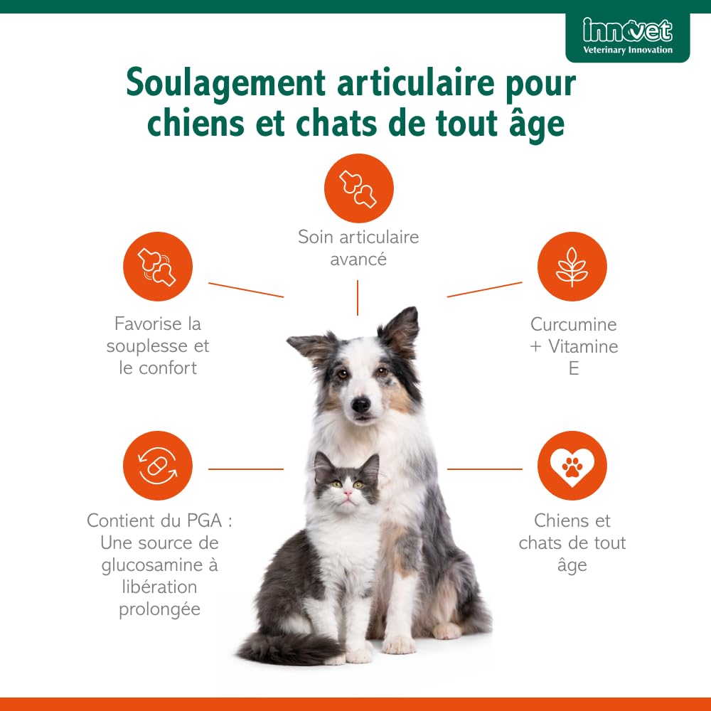 Innovet Glupacur, Complément Alimentaire pour Soulager les Articulations Chiens et Chats souffrant d'Arthrose, Soutien Avancé de la Mobilité, Palmitoylglucosamine, Curcumine et Vitamine E - 30 gélules