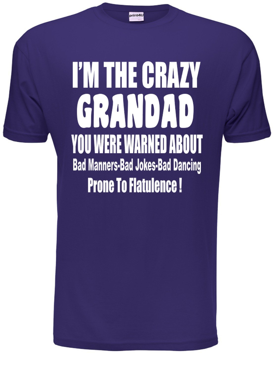 I'm The Crazy Grandad Mens Unisex T-Shirt X-Large Purple