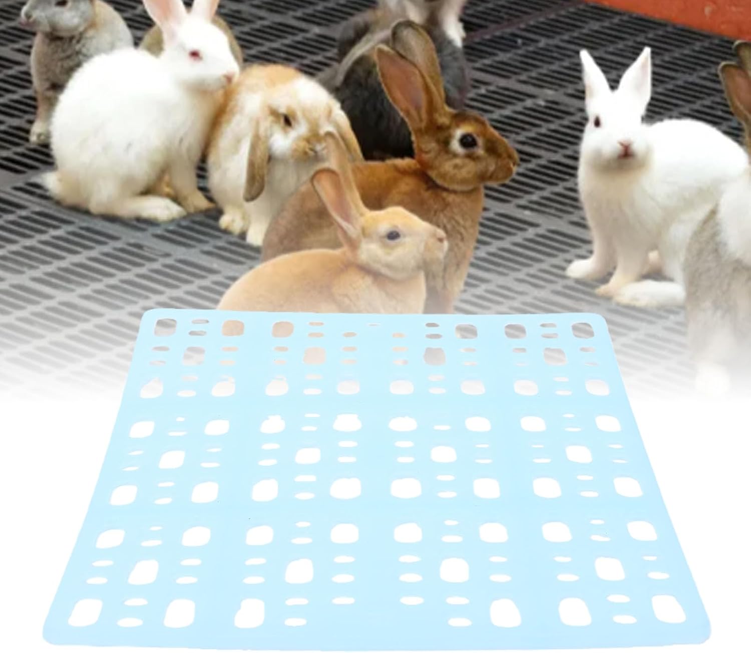 Dpofirs 15pcs Plastic Rabbit Cage Mat with Connecting Buckles, Bunny Foot Resting Pad for Small Animals, Guinea Pig Bunny Cage Mat, 34x25cm (Blue 34x25cm)