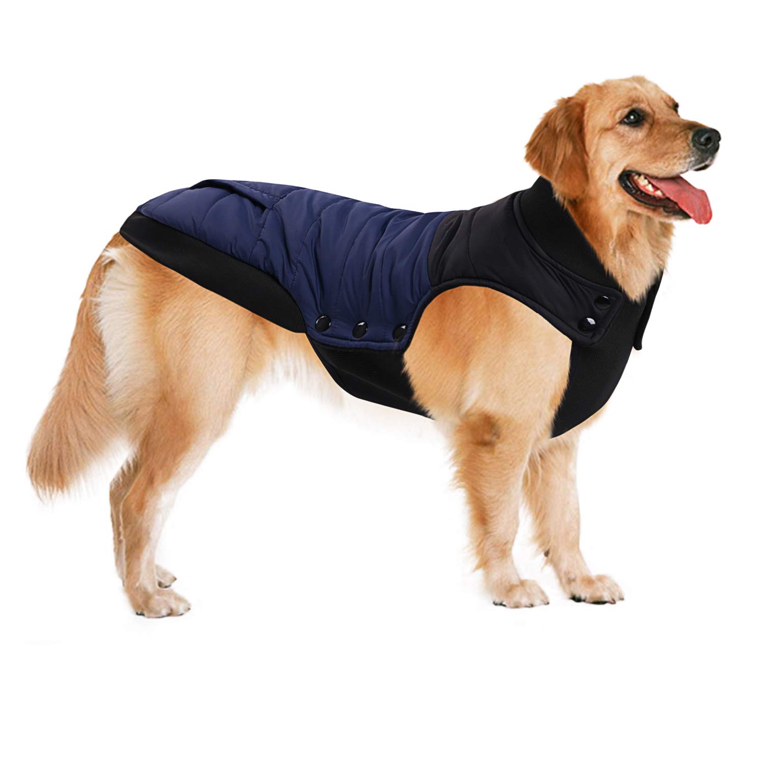 waterproof fleece lined dog coat