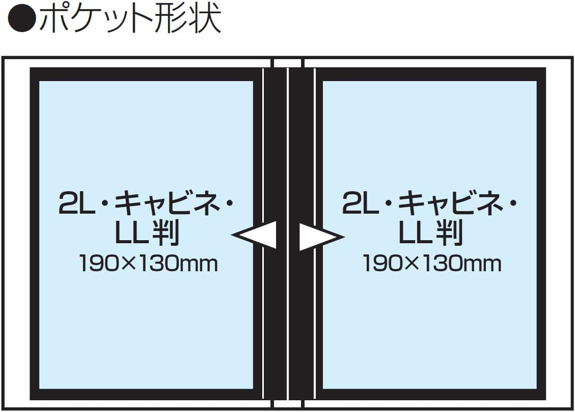Nakabayashi Co, Ltd. Album Photography Rear 2L Size 100-sheet Single-Stage Black 23677