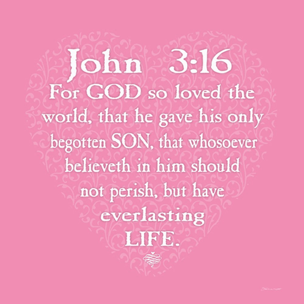 Pink John 3:16 12x12 Christian Biblical Art Print Poster