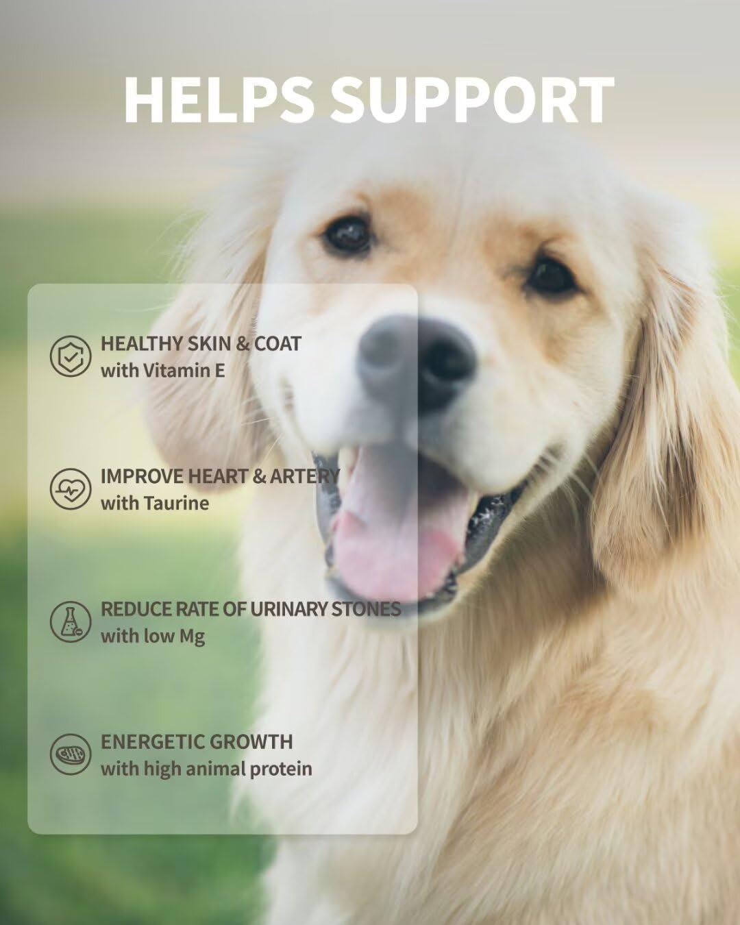 Dog Freeze-Dried Dog Food (Duck Recipe - 14 onzas)