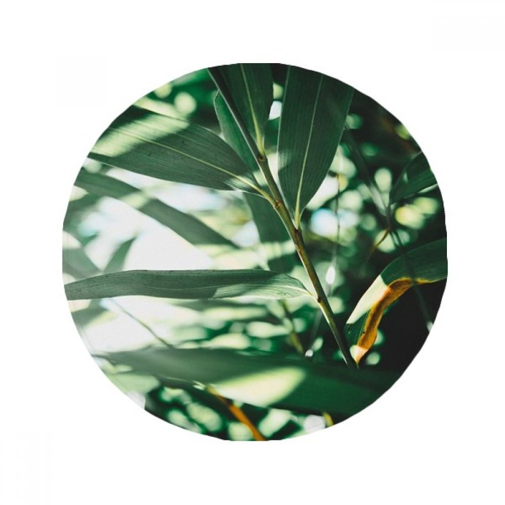Tapis de compagnie rond 60cm motif feuille verte antidérapant pour cuisine et salon
