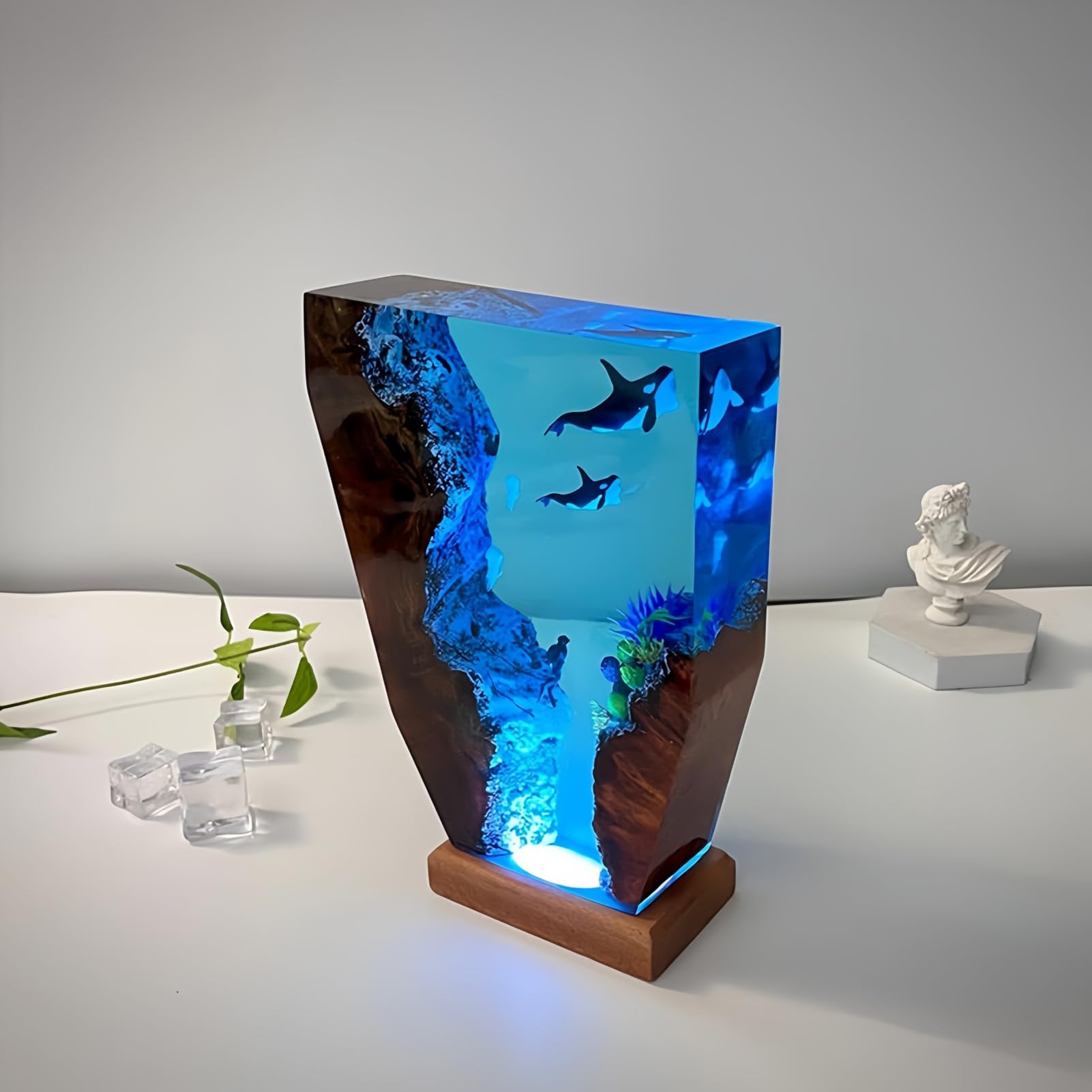 View 7