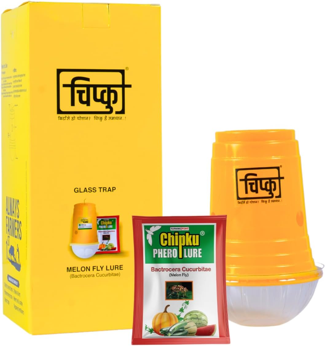 - Melon Fly Bactocera Cucurbitae Pheromone Trap Eco Trap with Melon Fly Lure Pack of 10 Green