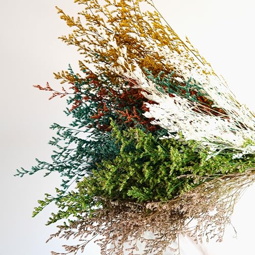 Flores secas Lover's Grass para decoración 50cm miniatura 4