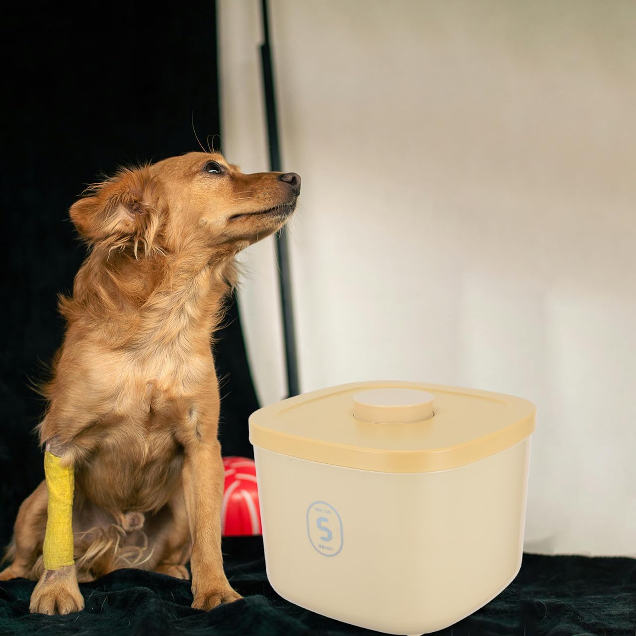 Angoily Small Airtight Pet Food Storage Container for Cat and Dog Food, Vacuum-sealed Moisture-proof Plastic Bin, Yellow Compact Size for Daily Puppy and Kitten Feeding