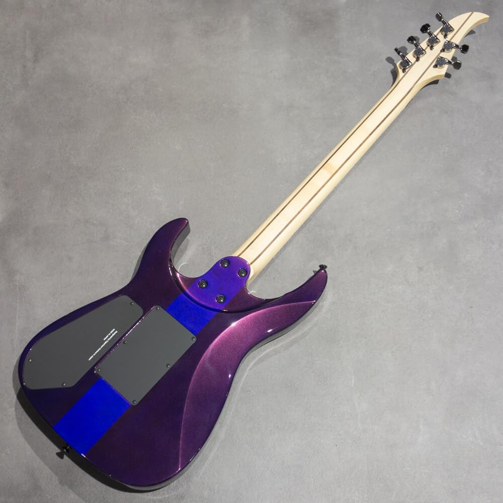 Amazon | Caparison Guitars Dellinger II Prominence EF Trans