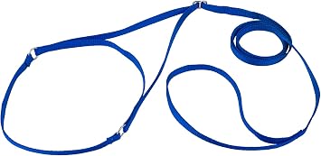 Country Brook Design Nylon Martingale Dog Show Lead - Blue