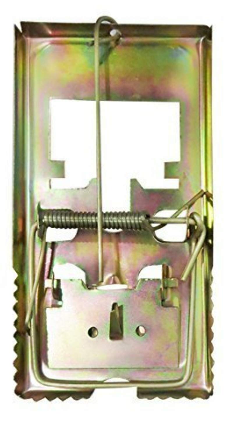 advancedestore Pack of 1 Piece of Rat, Mouse Snap Traps/Killers Iron Rat (B079QJKB96) Amazon Price History, Amazon Price Tracker