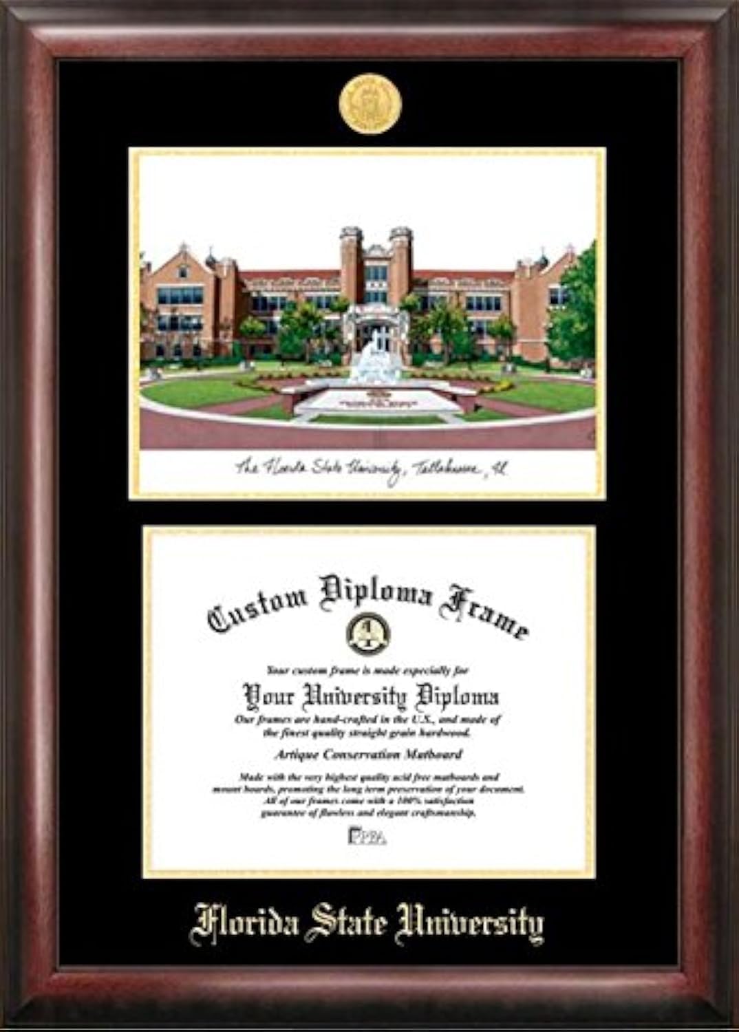 Campus Images Florida State University Gold Embossed Diploma Frame Lithograph