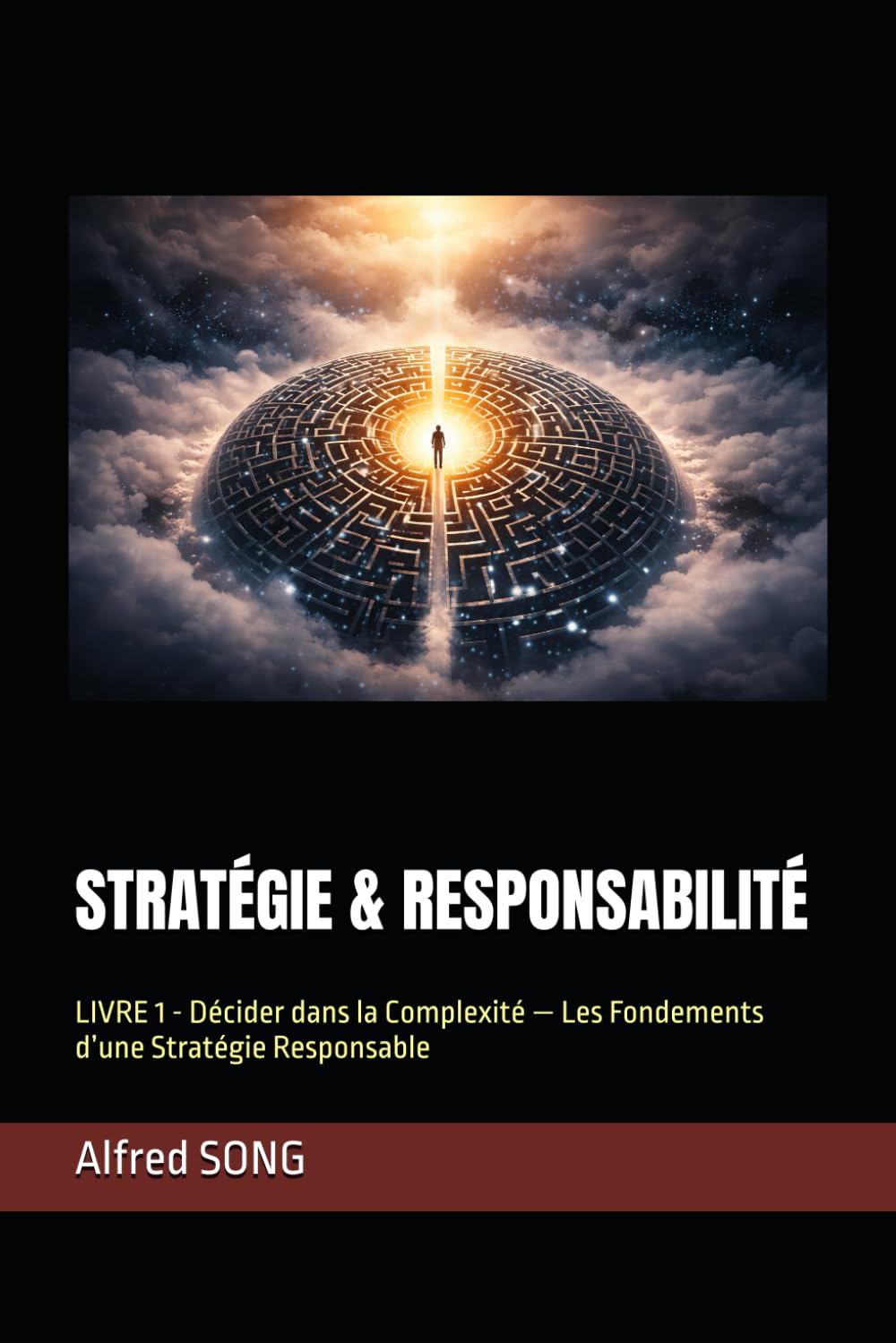 STRATÉGIE & RESPONSABILITÉ: LIVRE 1 - Décider dans la Complexité — Les Fondements d’une Stratégie Responsable