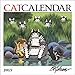 Catcalendar 2015 Calendar