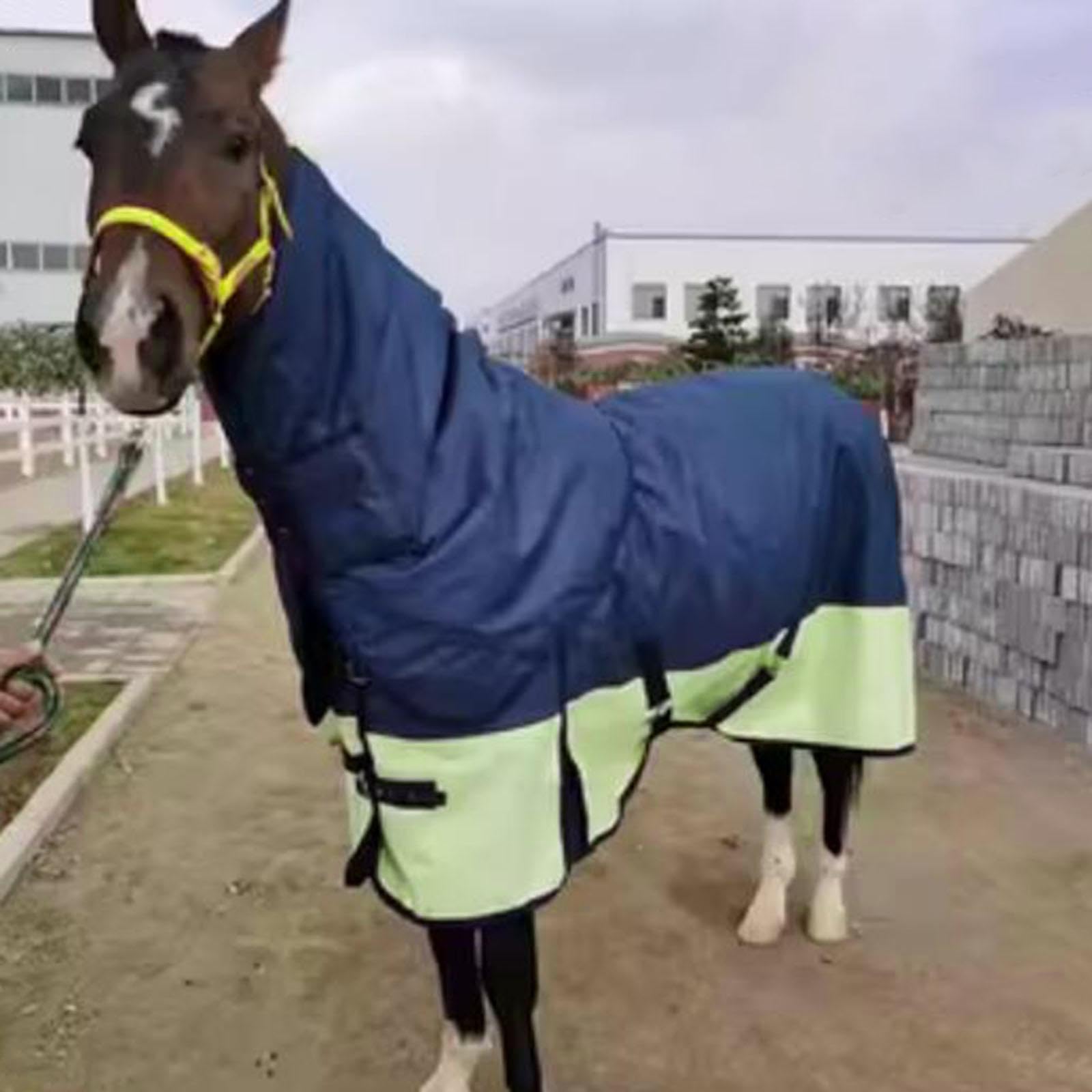 Manta de Invierno para Caballos con Protector Abdominal Integrado, Tejido Oxford 600D, Capucha Protectora, Hebilla Resistente, Apta para Establos Grup, Navy Blue L