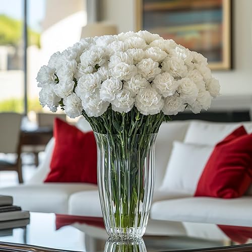 Miniatura 3 de GlobalRose 100 flores blancas de clavel  Claveles de origen responsable flores frescas  Ramo fresco seleccionado a mano para graduación,