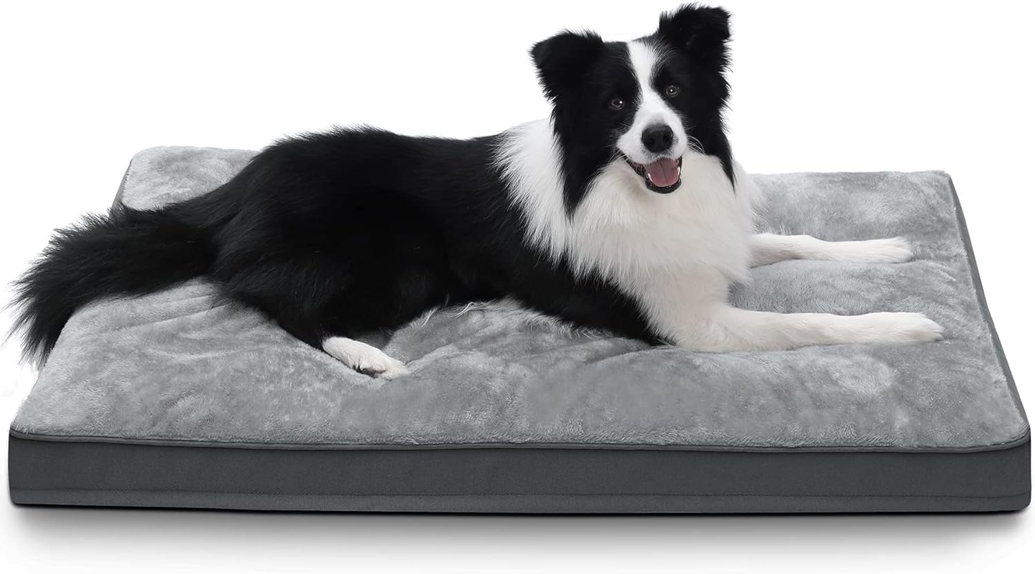 Camas Perros Medianos PETCUTE Cama Para Perros, Cama Para Mascotas