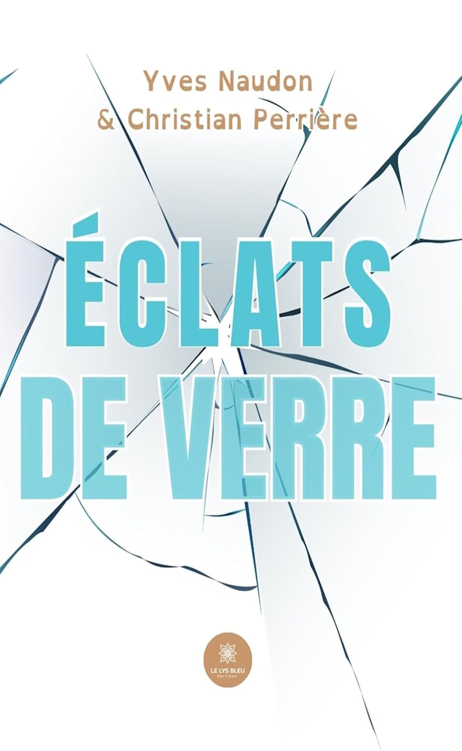 Éclats de verre (French Edition)