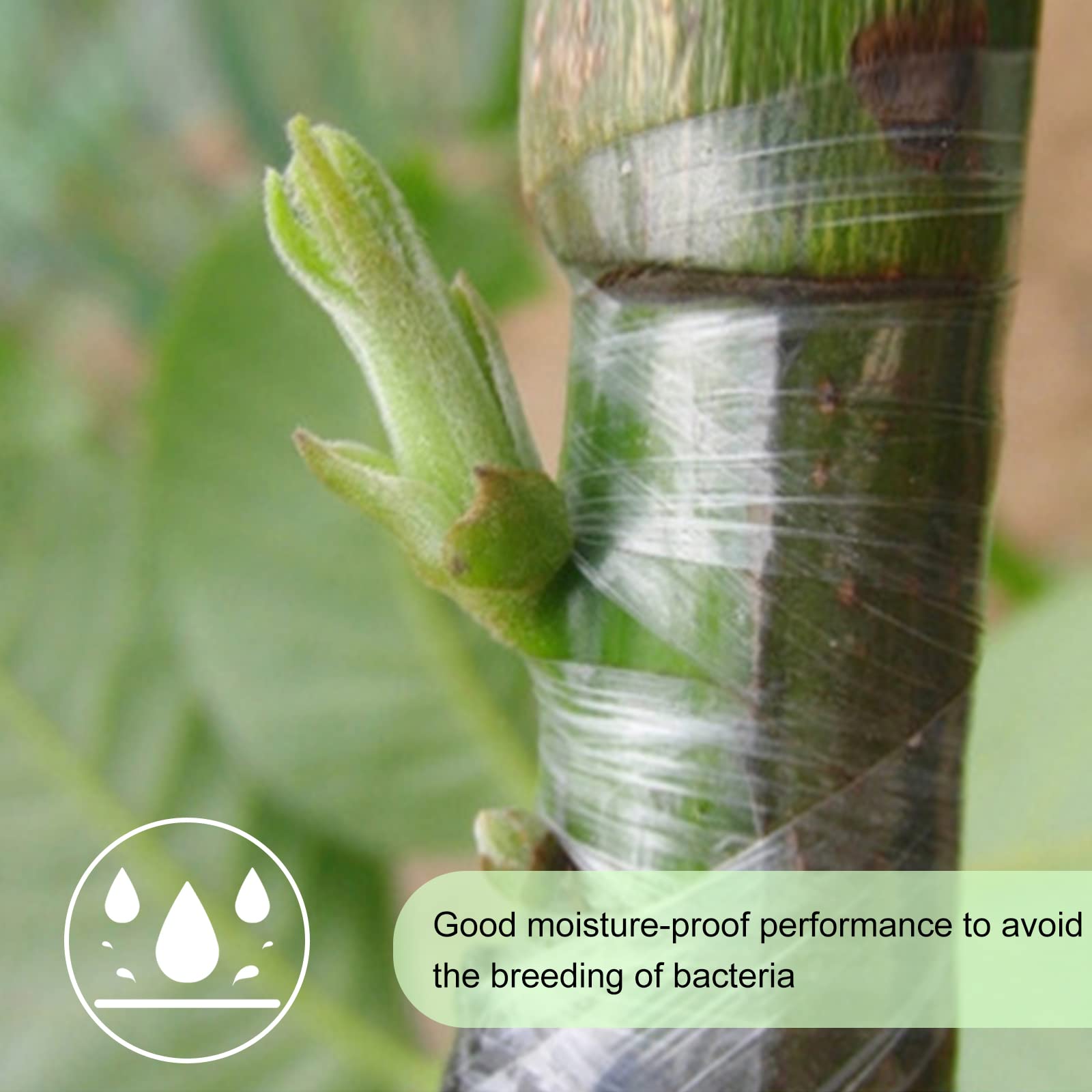 Nastro Per Innesti Piante - 2 Rotoli Autoadesivi Da 100m Per Giardinaggio - Foto 6