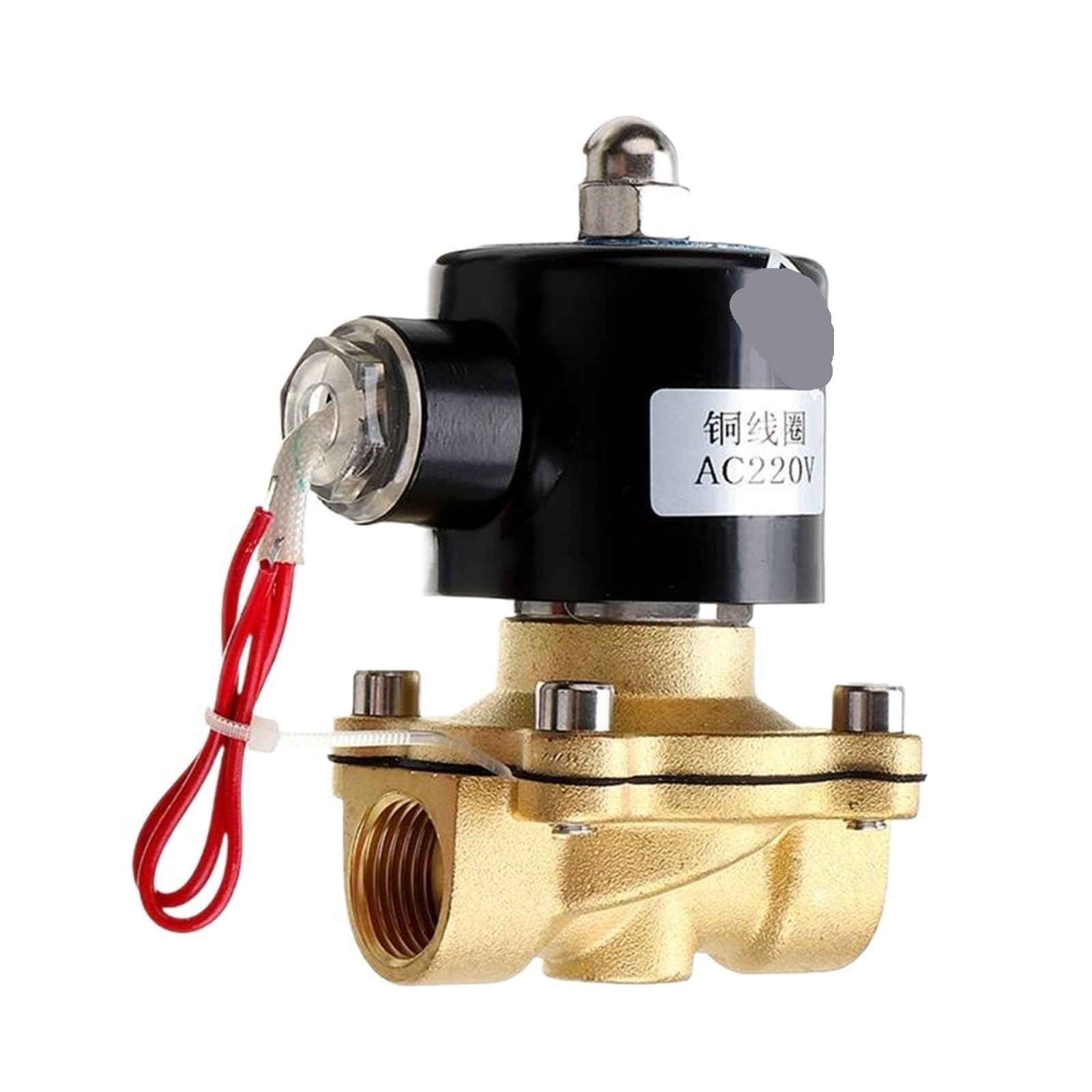 Moevgridr Dn08 Electric Solenoid Valve Brass Valve(Dn08)