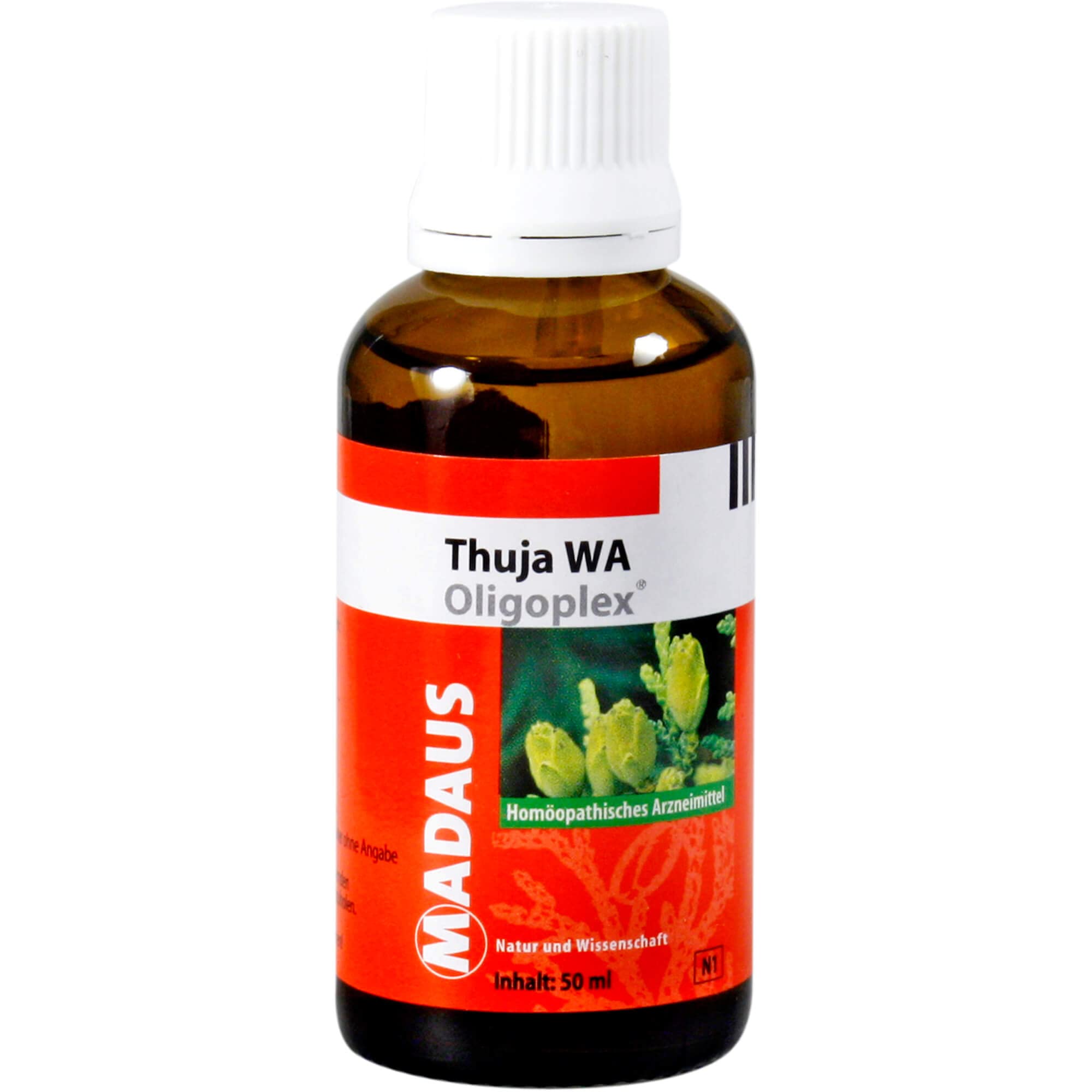 MADAUS Thuja WA Oligoplex Mischung, 50 ml Lsung : Amazon.de: Drogerie &  Krperpflege
