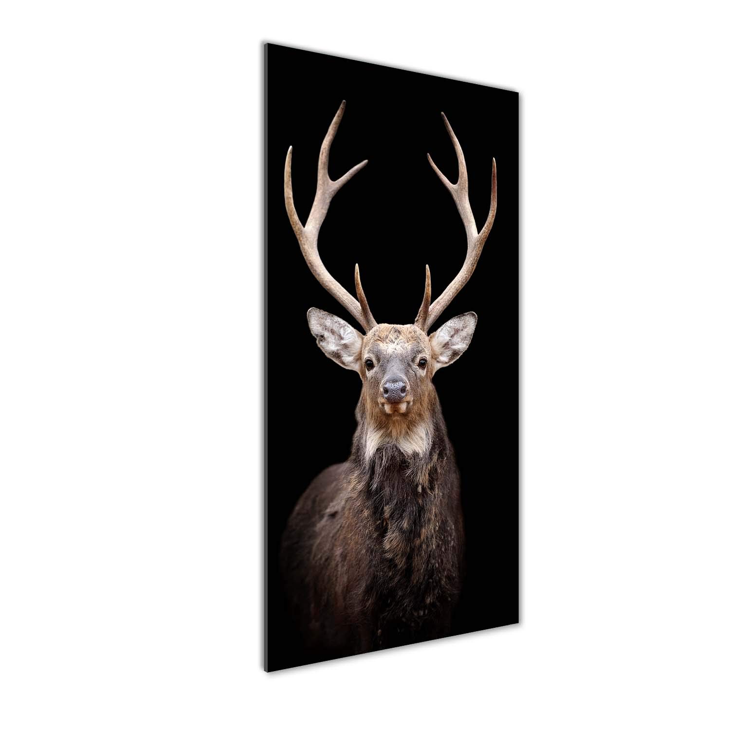 Tableau plexiglas noir et cerf Tulup 50x125 cm pour décoration murale moderne