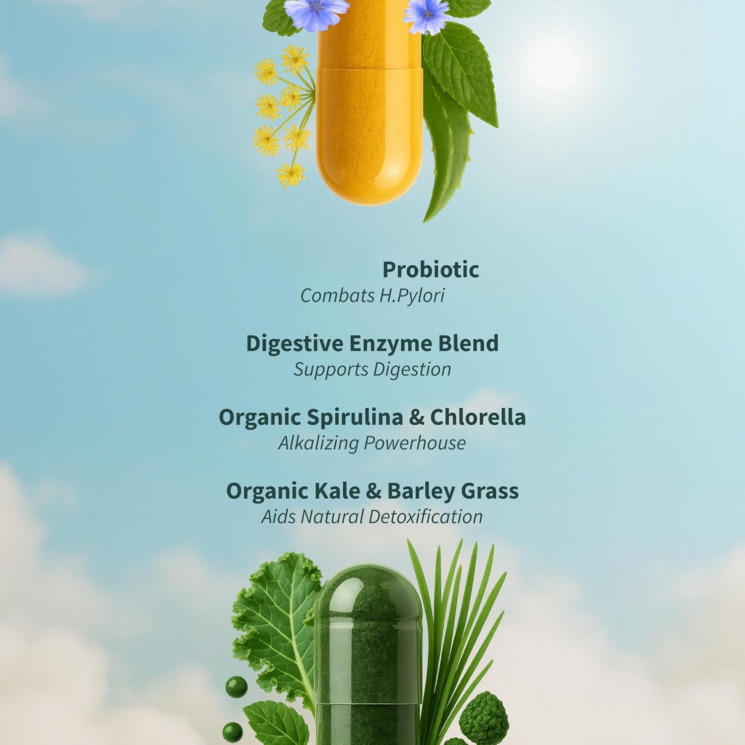 Double bouteille de probiotiques - Soutien digestif | Favorise la désintoxication, augmente l'énergie, le soutien immunitaire - végétarien