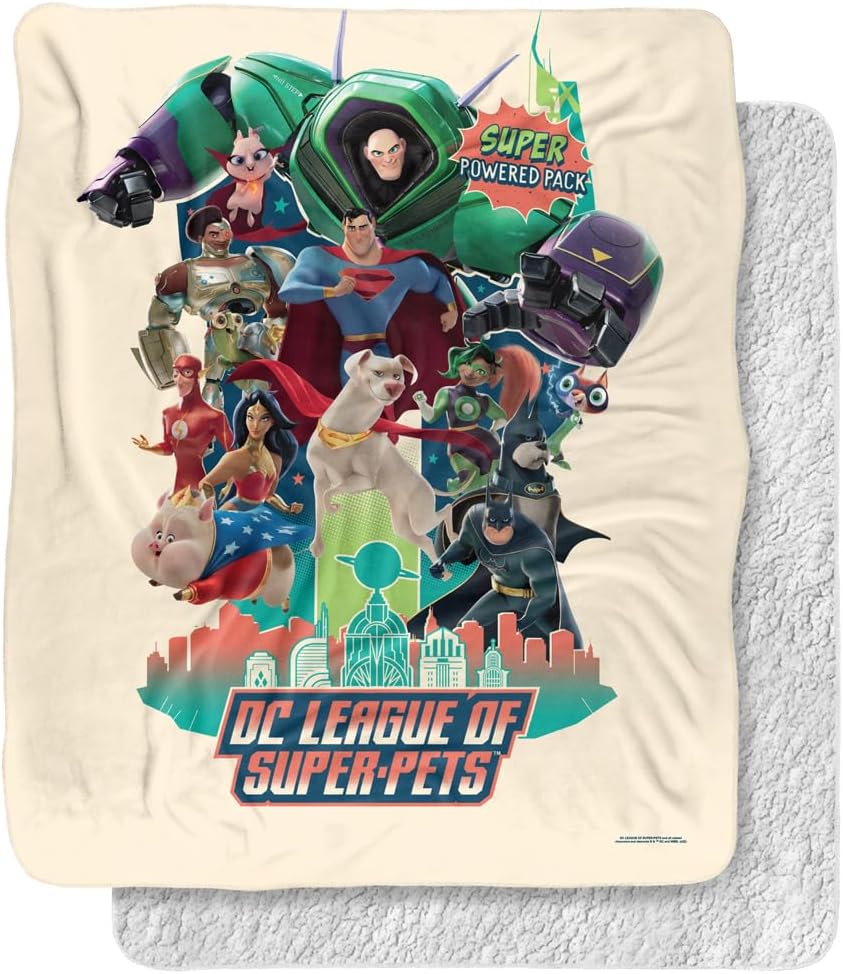 Dc, 50"x60" City of Heroes Silky Touch Sherpa Back Super Soft Throw Blanket