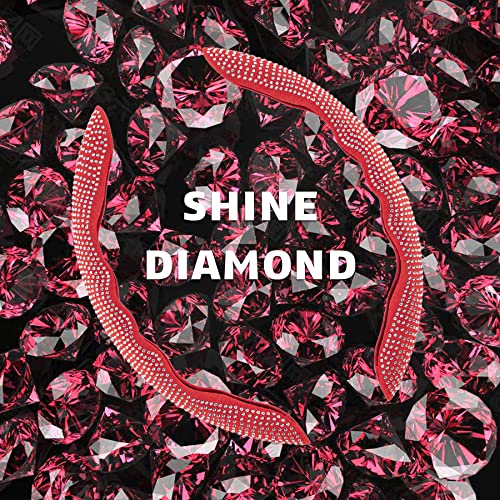 Amiss Steering Wheel Cover, Diamond Bing Steering Wheel Cover for Car,2PCS Segmented Steering Wheel Protector Universal Fit for 99% Cars Safe and Non Slip Car Accessory (Red, White Diamond)