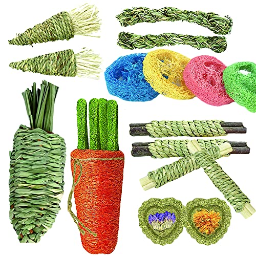 Dbeans Flourithing 16�� �E�T�M�̂�������A�P���p�n���X�^�[�ߋ�A�w�`�}�X�g�����O�j���W���g�C�A���Ȍ��N�A�������i�A�ō��̃n���X�^�[��������M�t�g