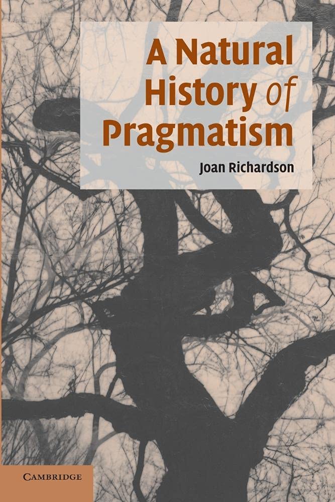 A Natural History of Pragmatism: The Fact Of Feeling From Jonathan Edwards To Gertrude Stein: 152 (Cambridge Studies in American Literature and Culture, Series Number 152)