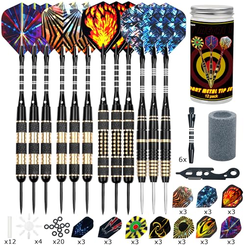 Alyoen 12 Stück Dartpfeile Metallspitze,20/24/26Gramm Profi Dartpfeile,Darts Sets mit Aluminium Schafts Flights Sharpener Beschützer Rubber O's Rings Multi Purpose Dart Tool