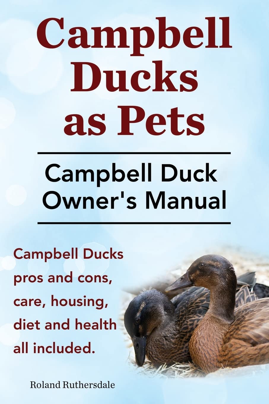 Campbell Ducks as Pets. Campbell Duck Owner's Manu