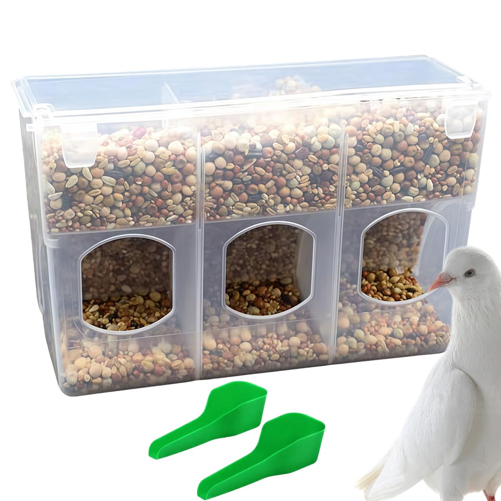 Mangeoire automatique en plastique pour pigeons, distributeur d'eau sans désordre à suspendre pour cage à oiseaux, perruches, cailles, oiseaux, poulet (design à 3 trous)