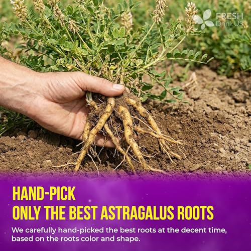 Image of FreshDrinkUS, Premium 16oz Dried Astragalus Root Slices - 100% Natural Astragalus Root for Herbal Tea & Traditional Beverages - Natural, Clean Cut, No Additives. No Preservatives. Vegan